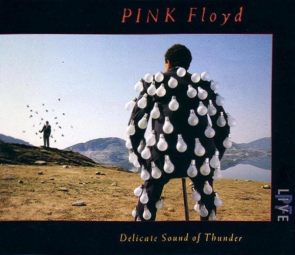 Вінілова платівка Pink Floyd - Delicate Sound of Thunder - VG - 2 платівки
